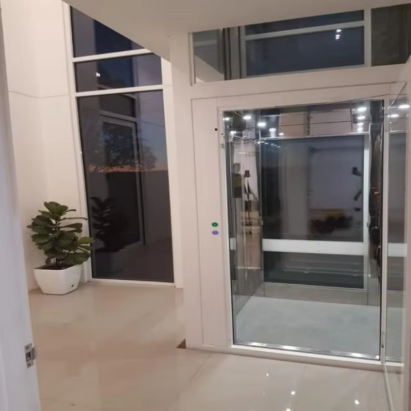 VTEV109 Ascensores Elevadores Stilig Glass Villa Heis for Privat Duplex Home
