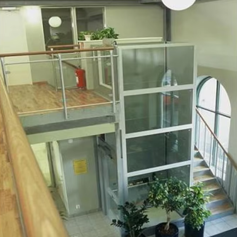 VTEV105 Ascensores Elevadores Tilpasset hyttevillaheis for interiørdekorasjon