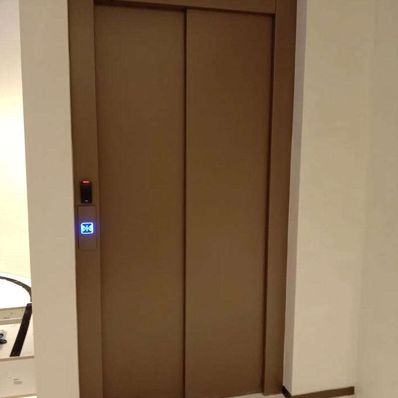 VTEP120 Residential Villa Passasjer Heis Panoramaglass Rustfritt stål Konstruksjon Sikkerhetsfunksjoner Stor kapasitet