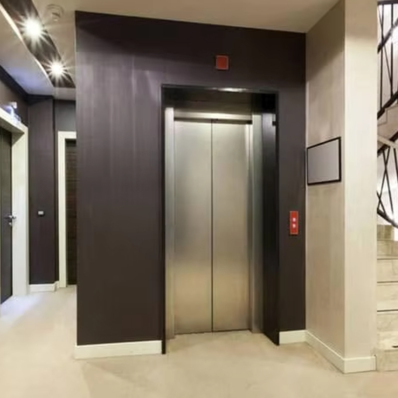 VTEP123 Luksustilpasset Gearless AC Drive Residential passasjerheis med panoramadesign
